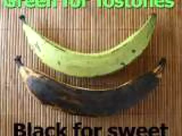 Recipe Fried Sweet Plantains & Tostones