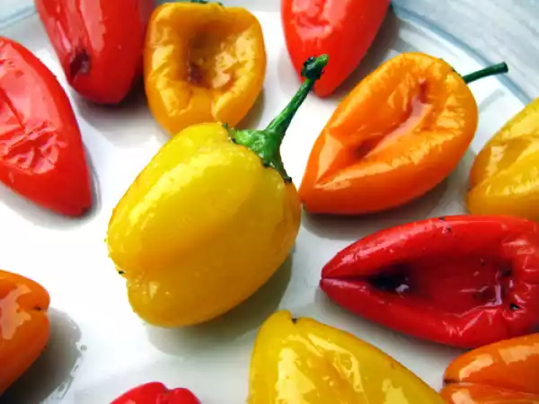 Recipe Oven roasted mini sweet peppers