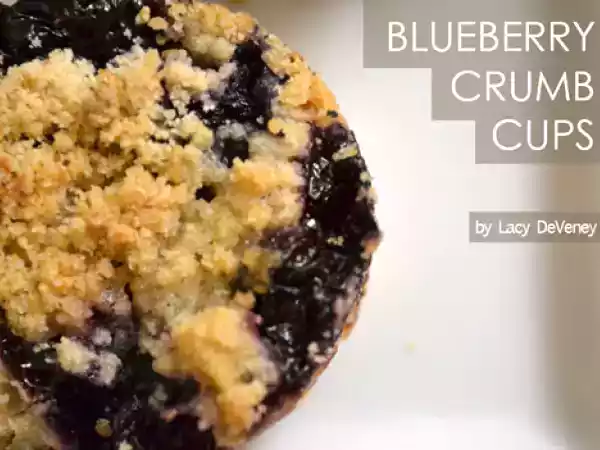 Recipe Blueberry crumb cups