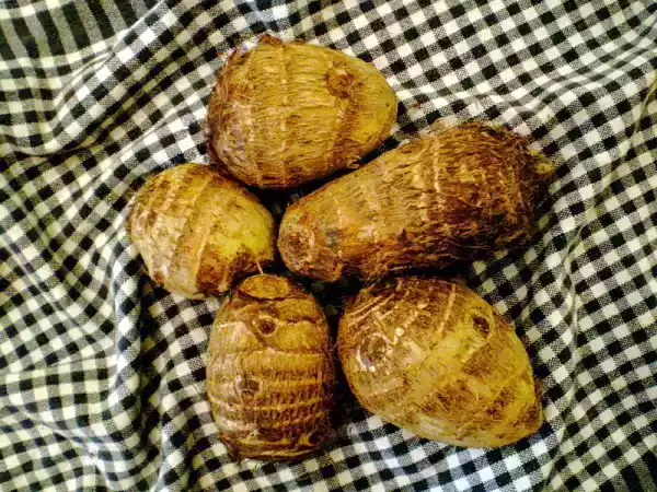 Recipe Kochur dom\arbi dum