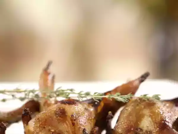 Recipe Moroccan style quails with honey