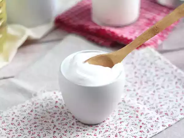 Recipe Eggless milk mayonnaise - lactonesa