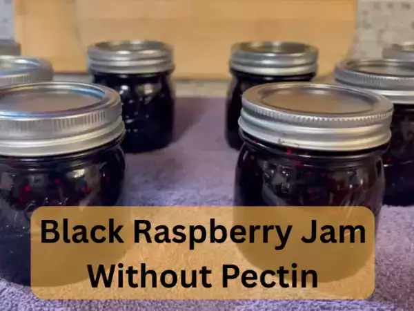 Recipe Black raspberry jam without pectin (natural & easy method)
