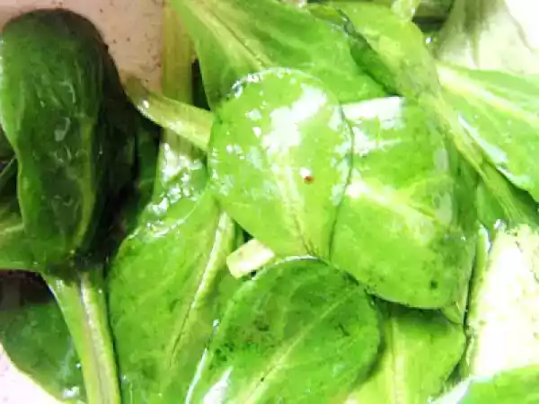 Recipe German feld salad & award times.