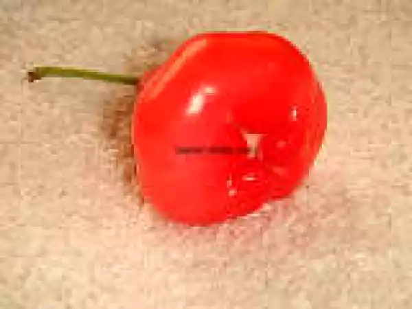 Recipe Chambakka/Water Apple Jelly