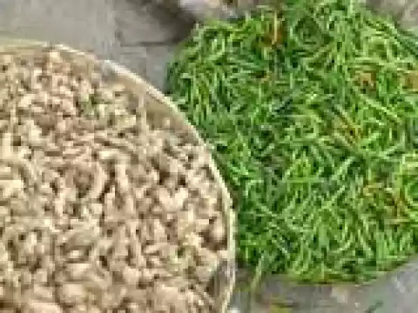 Recipe Curry de poulet au lait de coco du Kerala ? Kojhi stew (avec vidéo)