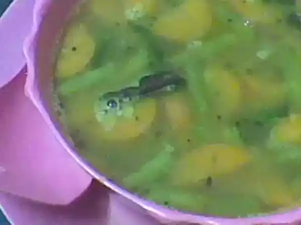 Recipe Carrot and beans sambar
