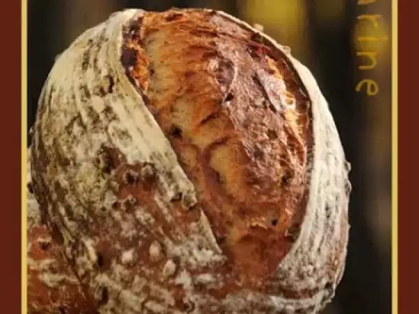 Recipe Vermont apple bread