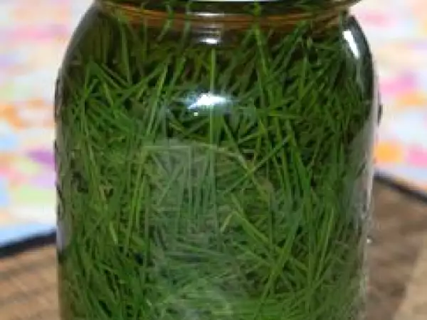 Recipe Pine needle vinegar