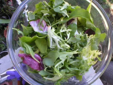 Recipe Salatat jarjeer ( arugula salad)