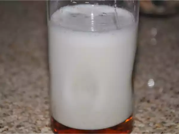 Recipe Badam - saunf - shahad thandai (almonds - fennel seeds - honey milkshake)
