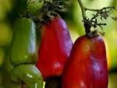 INGREDIENTS - Cashew Apple (Caju)