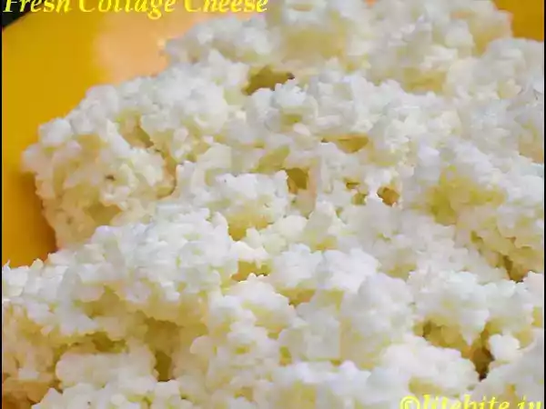 Recipe Rasgulla a cottage cheese delicacy