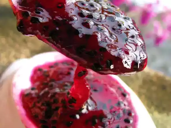 Recipe Dragon fruit jam & lemon marmalade jam