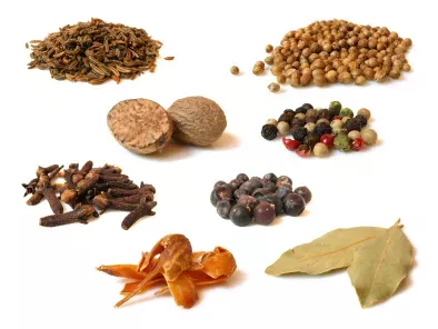 recipes spices and condiments