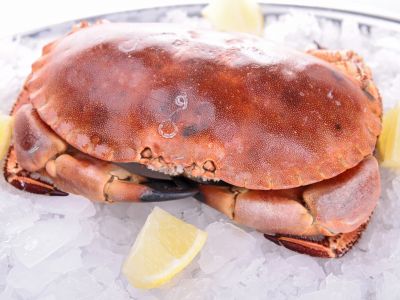 recipes crab