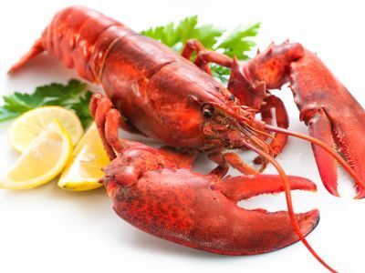 recipes lobster