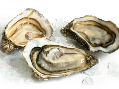 recipes oyster