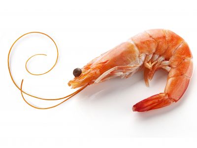 recipes prawn