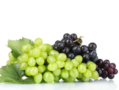 recipes grape