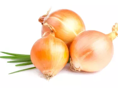 recipes garlic