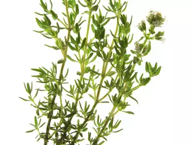 recipes thyme