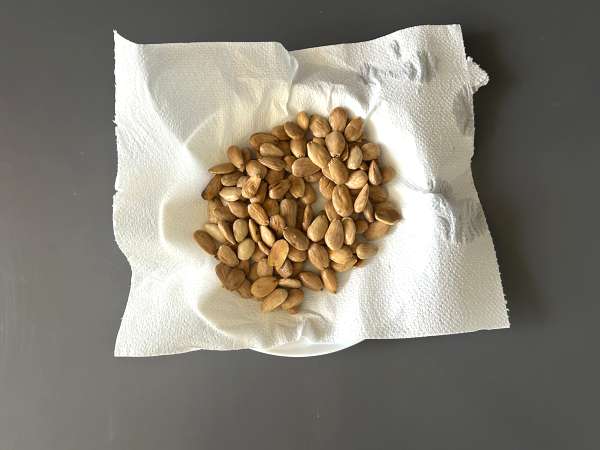 Traditional Moroccan pastilla with phyllo dough, chicken and spices - Preparation step 9