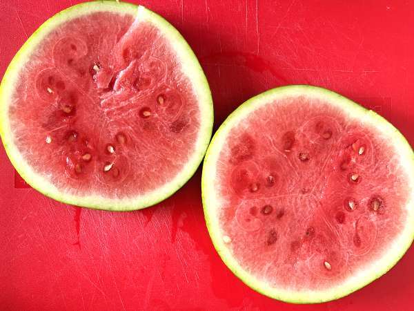 Watermelon feta arugula sandwich, the freshest viral recipe for summer! - Preparation step 1