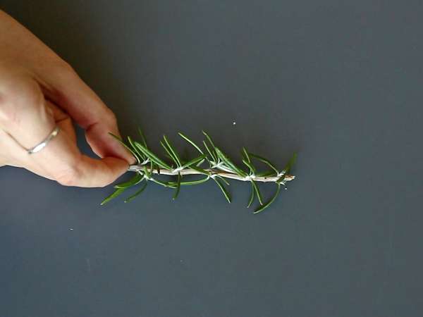 Christmas cocktail with a snow-covered fir tree inside - Preparation step 1