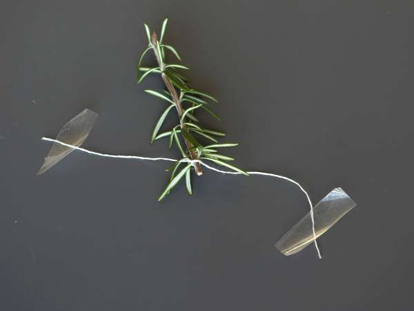 Christmas cocktail with a snow-covered fir tree inside - Preparation step 3
