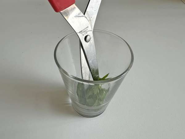 Crunchy herb croutons in the Air Fryer (quick and easy) - Preparation step 3