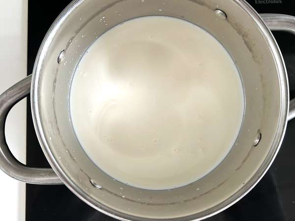 Homemade cottage cheese with just two ingredients! - Preparation step 1