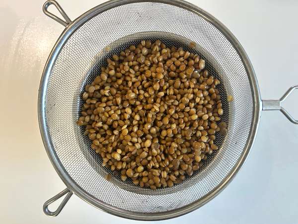 Quick and easy protein-packed lentil salad with cottage cheese - Preparation step 1