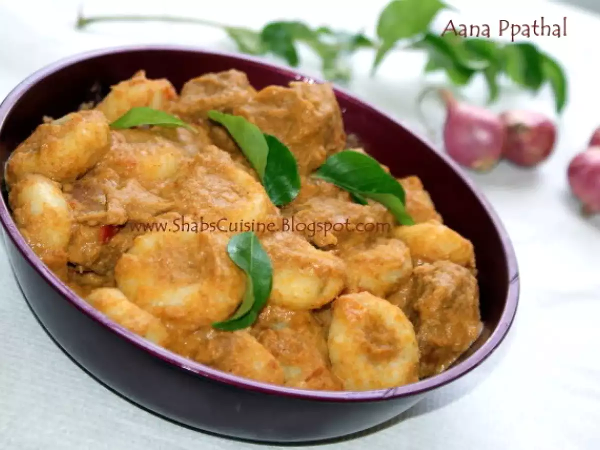 Aana pathal/Kozhi Pidi (Steamed Rice Dumplings in Rich Coconut and Beef Gravy) - photo 2