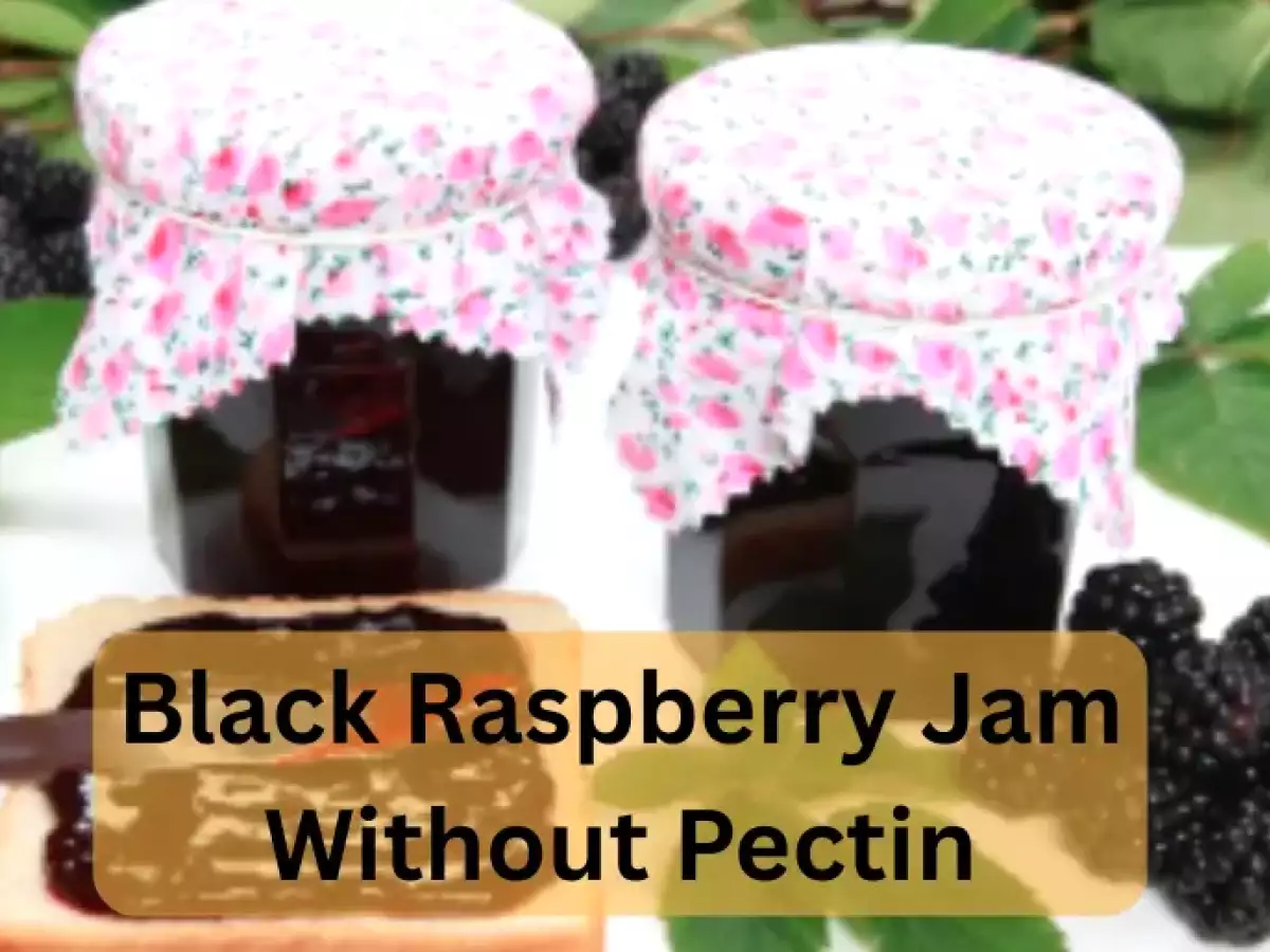 Black Raspberry Jam Without Pectin (Natural & Easy Method) - photo 2