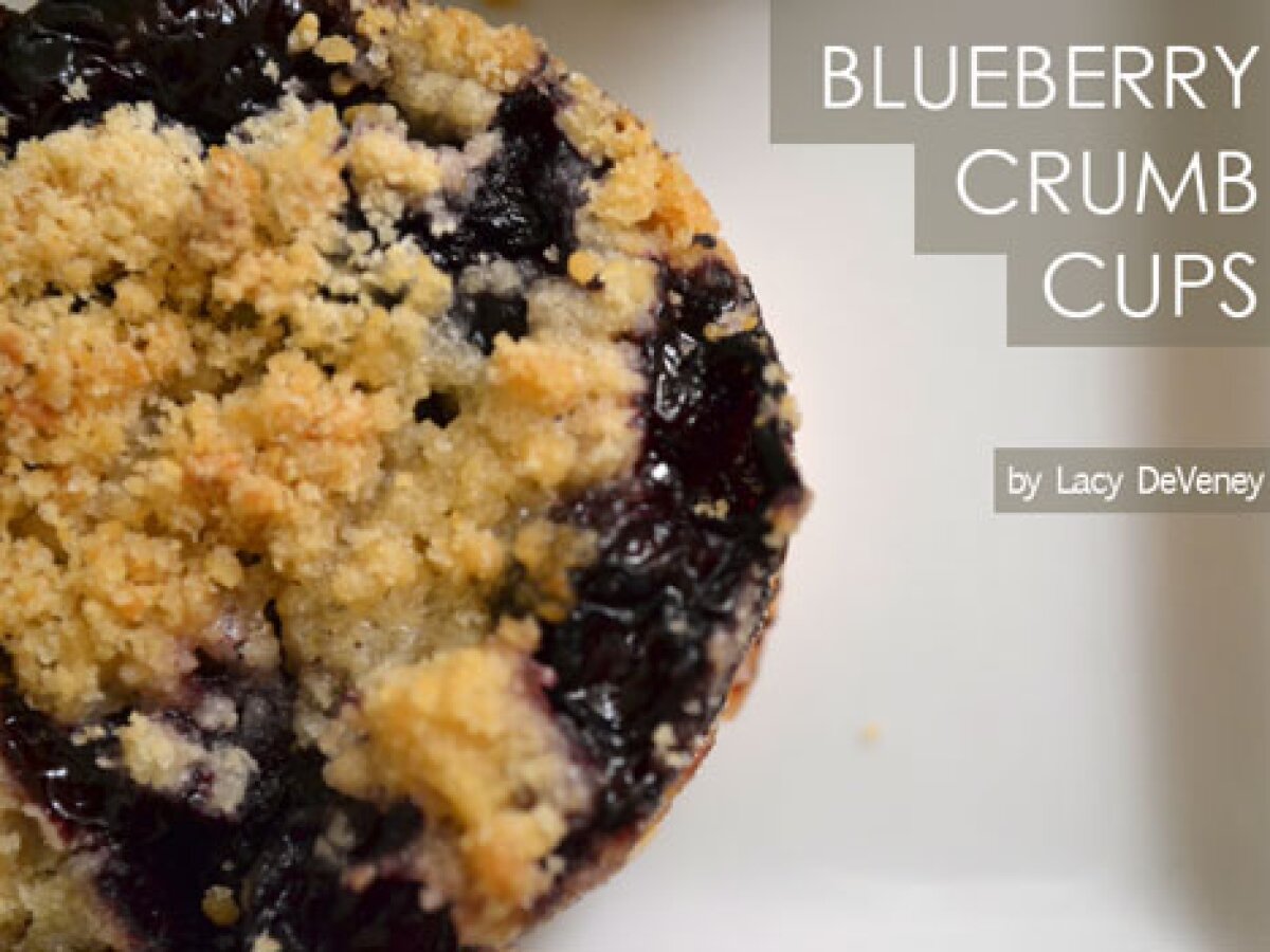 Blueberry Crumb Cups