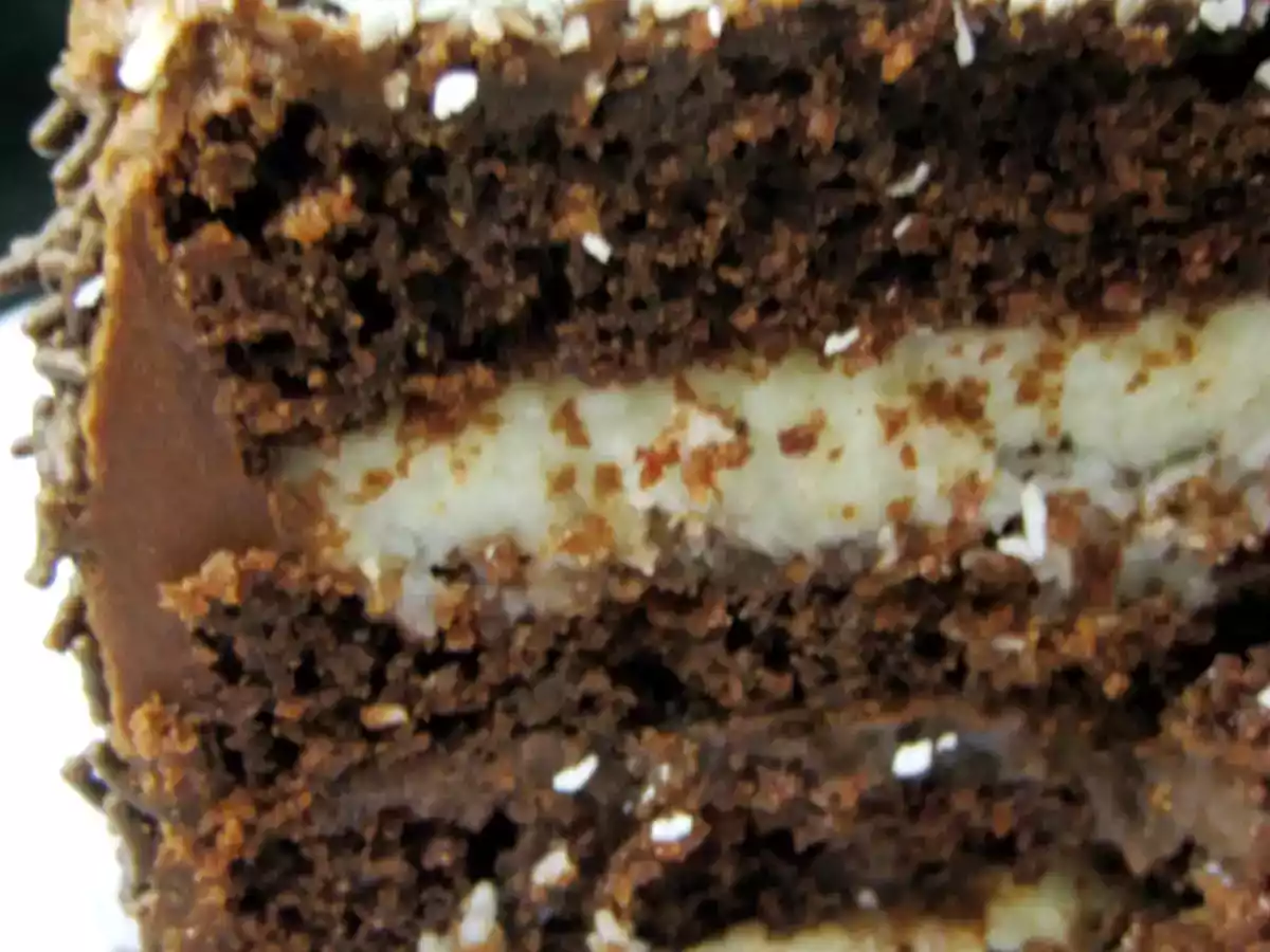Chocolate Cake with Coconut and Chocolate Filling