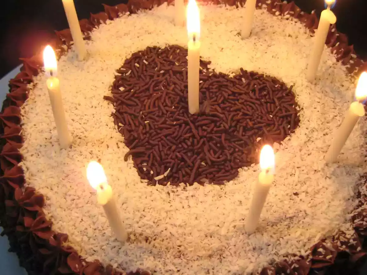 Chocolate Cake with Coconut and Chocolate Filling - photo 3