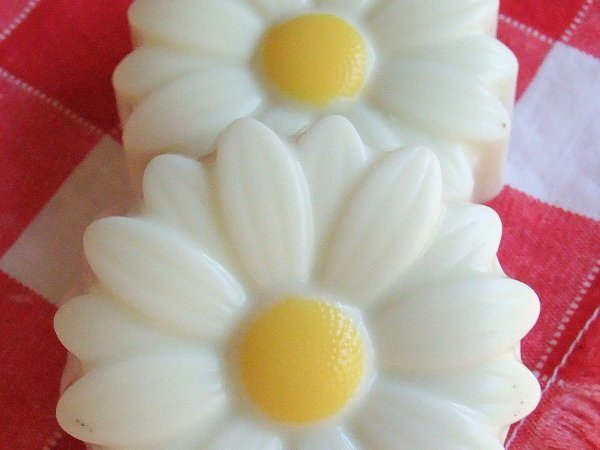 DAISY Silicone Chocolate/candy Mold 