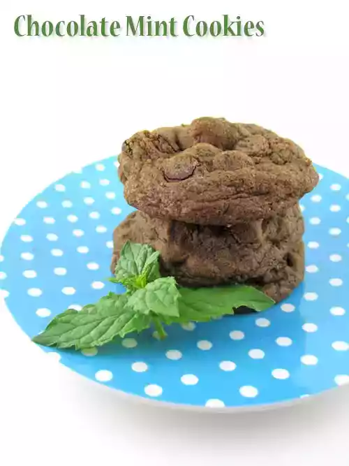 Chocolate mint cookies recipe with fresh mint leaves