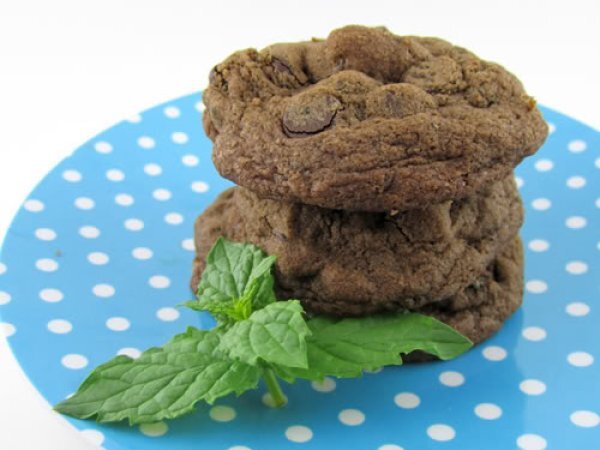 Chocolate Mint Cookies with Fresh Mint Leaves