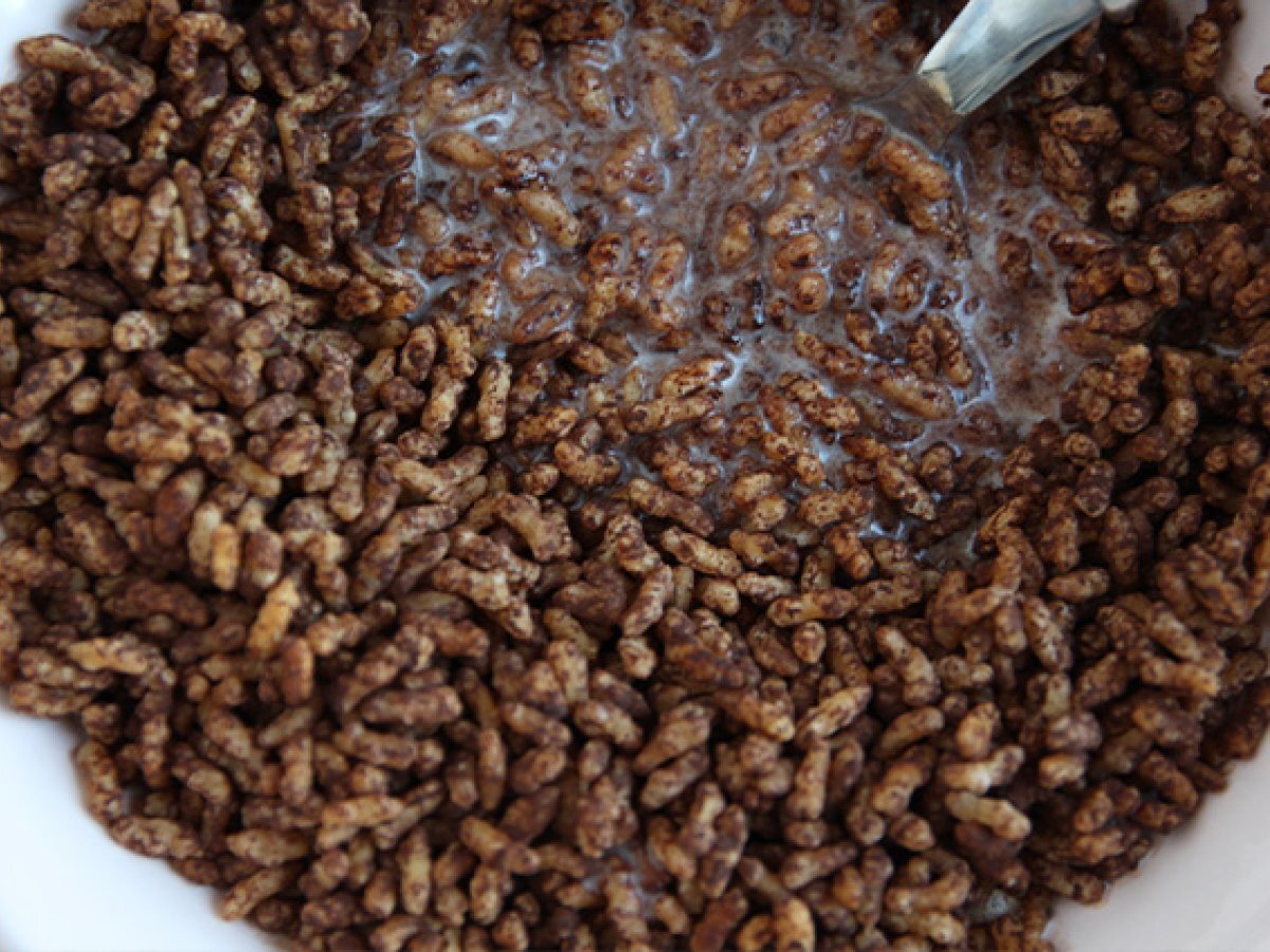 Chocolate puffed rice - Coco pops copycat - photo 4