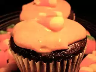 Chocolate pumpkin cupcakes with cream cheese frosting recipe