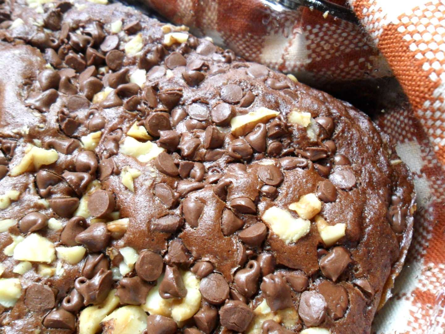 Chocolate zucchini cake, Recipe Petitchef