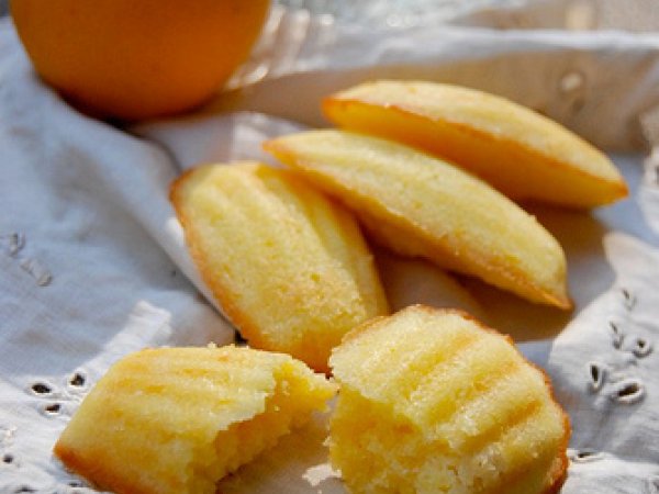 Cookie 060] Lemon Madeleines