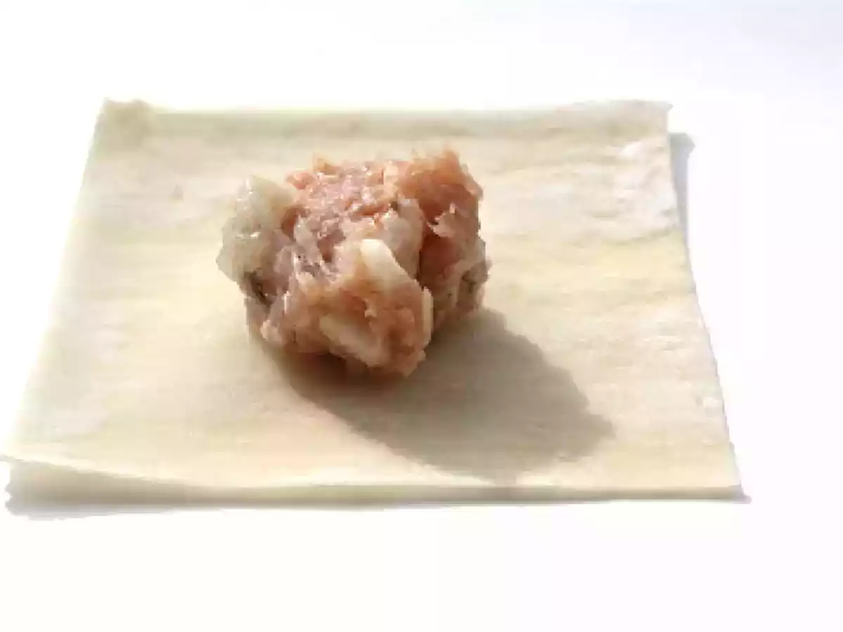 Deep-Fried Wonton - photo 4