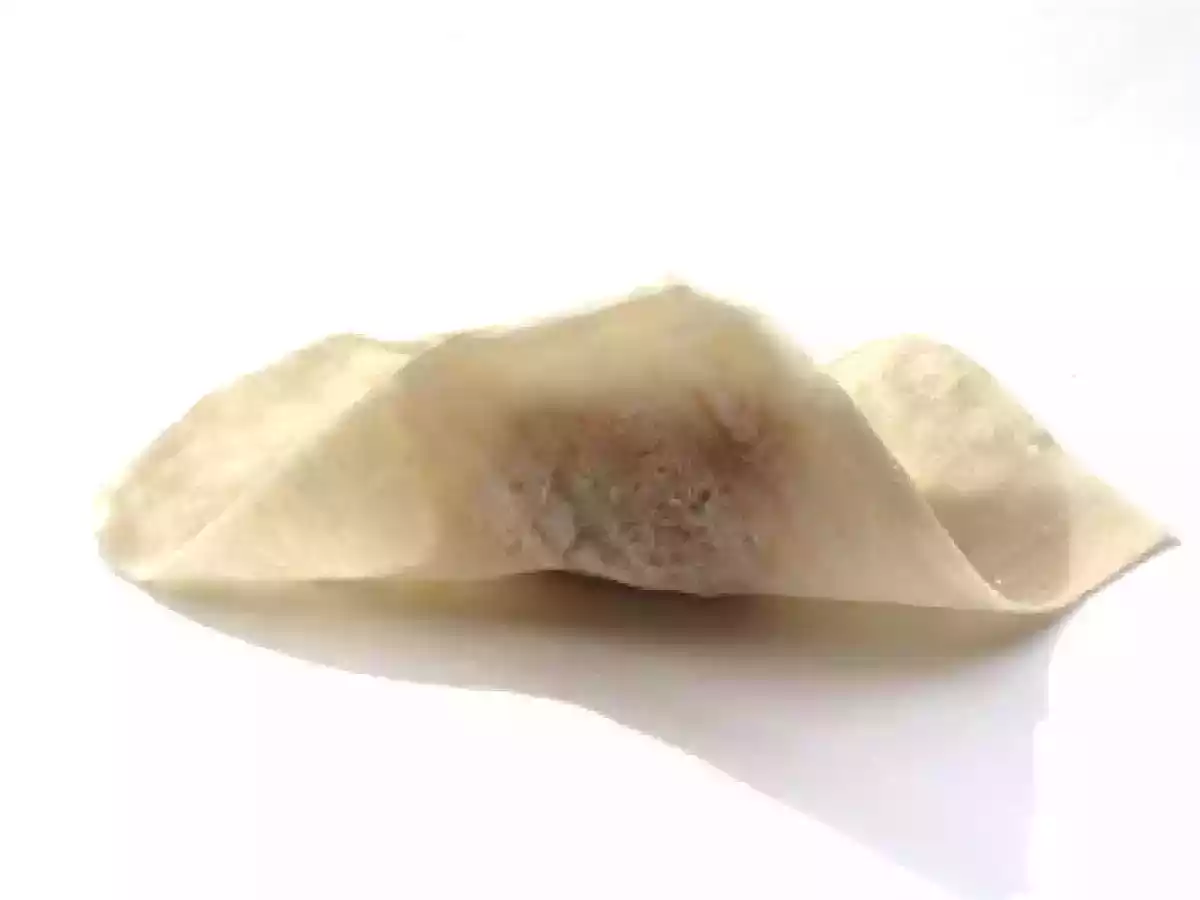 Deep-Fried Wonton - photo 5