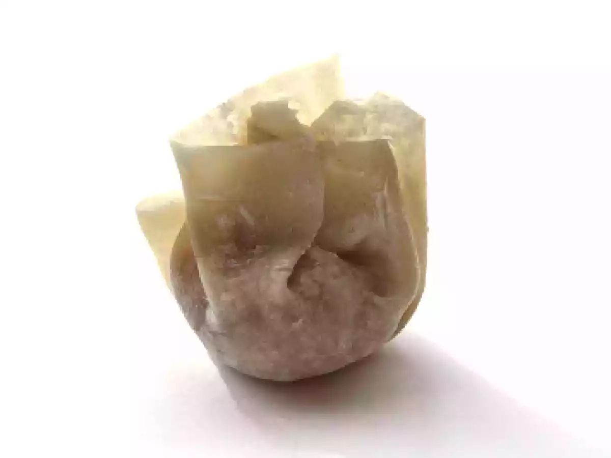 Deep-Fried Wonton - photo 6