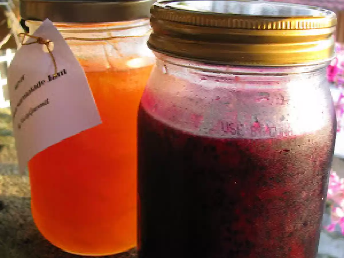 Dragon Fruit Jam & Lemon Marmalade Jam - photo 4