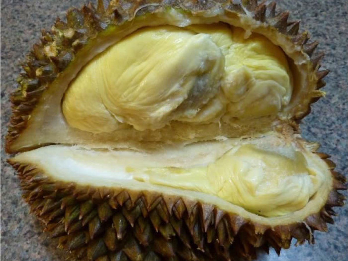 Durian Sticky Rice in Coconut Milk - photo 3